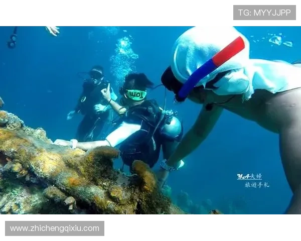 海洋之神手机登录流程详解快速登录海底世界的实用技巧